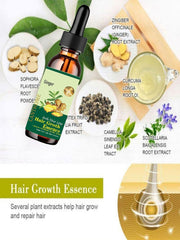 Ginger Oil for Hair Density and Length Increase